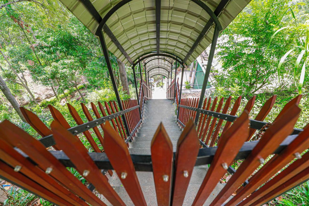 埃拉锆石住宿加早餐旅馆 外观 照片